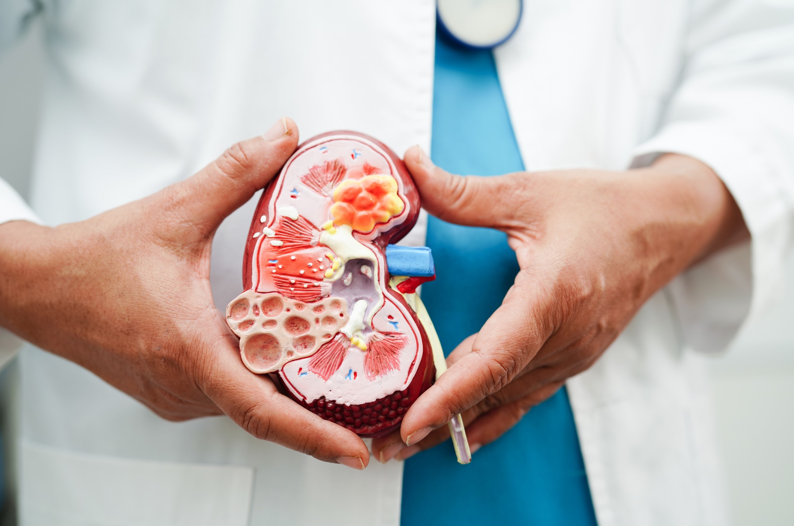 Pulmonology Billing Image